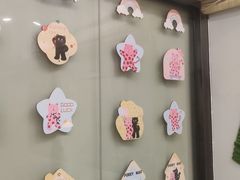 -有喵·猫咖·狗咖·30几只猫10只小狗(岗厦店)