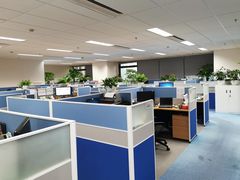 -科法斯（上海）信息服务有限公司