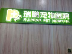 -瑞鹏宠物医院·微创内窥镜·骨外科·牙科(翠竹分院)