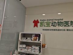 -悦宠凯宝动物医院·牙科·皮肤科(朝阳北路店)