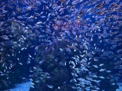 -成都浩海立方海洋公园