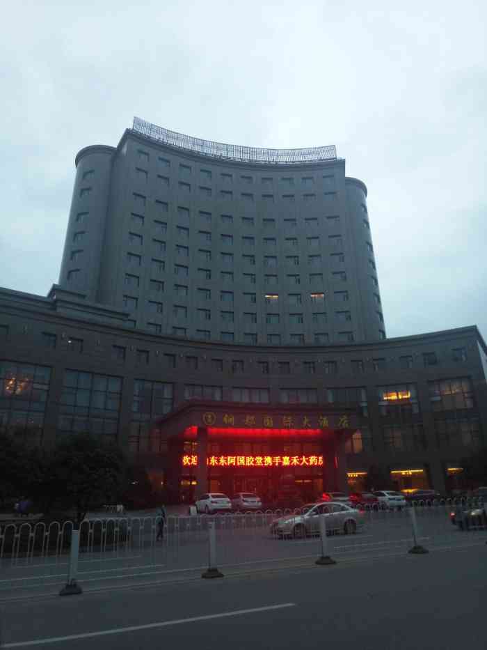 铜都国际大酒店-"/浇汁鲈鱼/这鱼多肉,鱼肉鲜嫩,没什么刺.