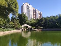 -团结湖公园