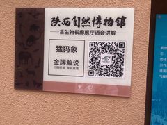 -陕西自然博物馆