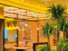 -润园四季椰子鸡火锅(卓越INTOWN店)