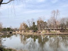-九科绿洲