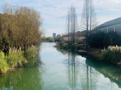 -昆山城市生态森林公园