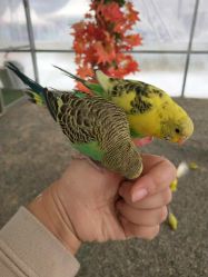 -萌宠亲子动物乐园(槐房万达店)