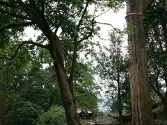 门面-峨眉山报国寺