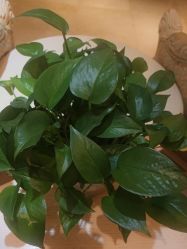 -北京俪婴妇产医院(朝阳大悦城店)