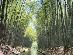 -同里国家湿地公园