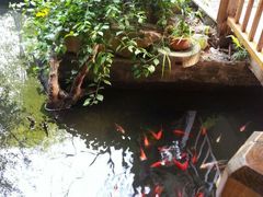 android_upload_pic-仙店农庄(湖景农庄餐厅)