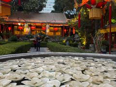-白家大院·王府宫廷菜(苏州街店)