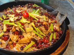 -老板恋上鱼(恒隆广场店)