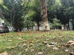 -四川大学(华西校区)