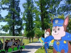 -黄海国家森林公园