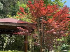 -麦积山温泉