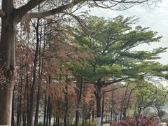 -东莞植物园