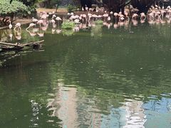 -九龙公园