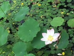 -南戴河国际娱乐中心