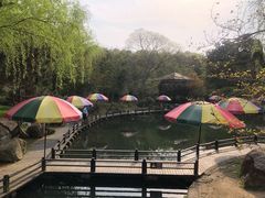 -白马涧龙池景区