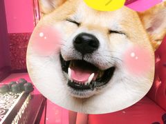 -皇家派对KTV(大润发店)