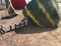 -长春公园(普阳街道)