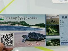 -广东惠东海龟国家级自然保护区