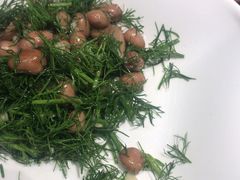 茴香花生-天山醉美·新疆餐厅(富华里店)