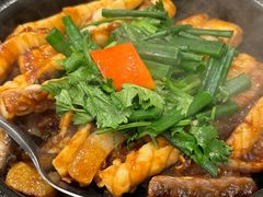 -朱记乳鸽王·非遗石岐乳鸽·全鸽宴(大兴旗舰店)