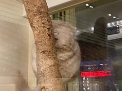 -龙猫仔乐园(惠福东路店)