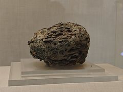 -鄂州市博物馆