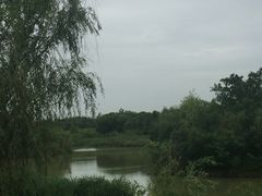 -白鹭湾湿地公园