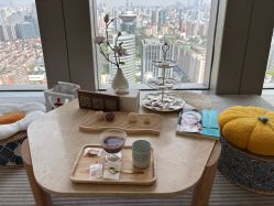 -POCO宝珂丽科技美肤