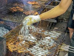 -周记老沈阳焦火鸡架