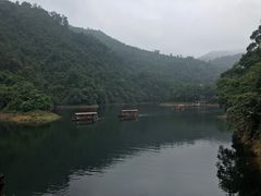 -鼎湖山风景区