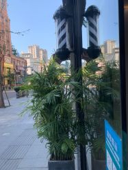 -不迫先生专业男士剪发