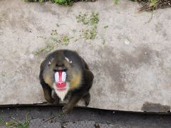 -西安秦岭野生动物园