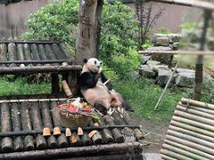 -杭州动物园