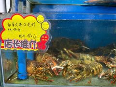 -蚝专家(北滘店)