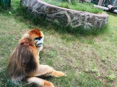 -西安秦岭野生动物园