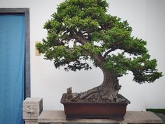 -稍可轩博物馆餐厅