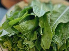-德顺斋爆肚涮肉馆·烧烤·羊蝎子·清真炒菜(马驹桥店)