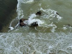 -黄河小浪底水利枢纽风景区