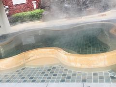 -天目湖涵田半山温泉