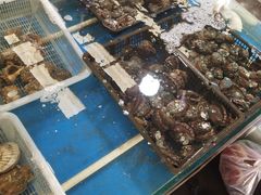 鲍鱼-韩家墅海吉星农产品批发市场