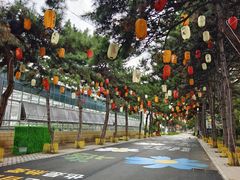 -北国之春国宴(乌兰察布店)