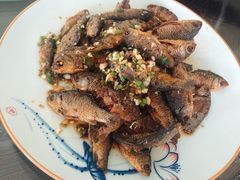 -巩本明鱼屋子