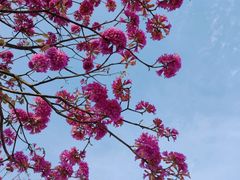 -白石龙音乐公园