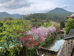 -十万大山布透温泉